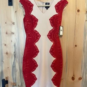 NWT IVORY/RED LACE DRESS 🎉